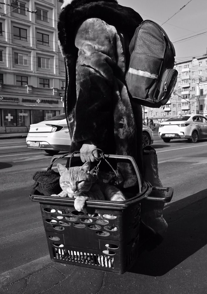 Photograph by Машевский Владимир