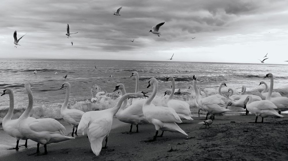 Photograph by Фартушняк Сергей