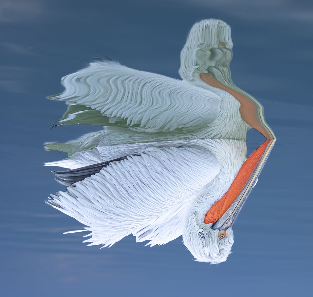 Photograph by Saarvesh Jayakumar