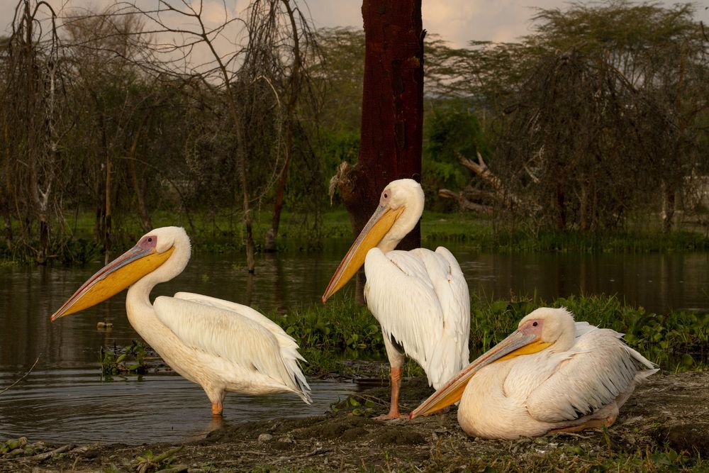 Photograph by Валерия