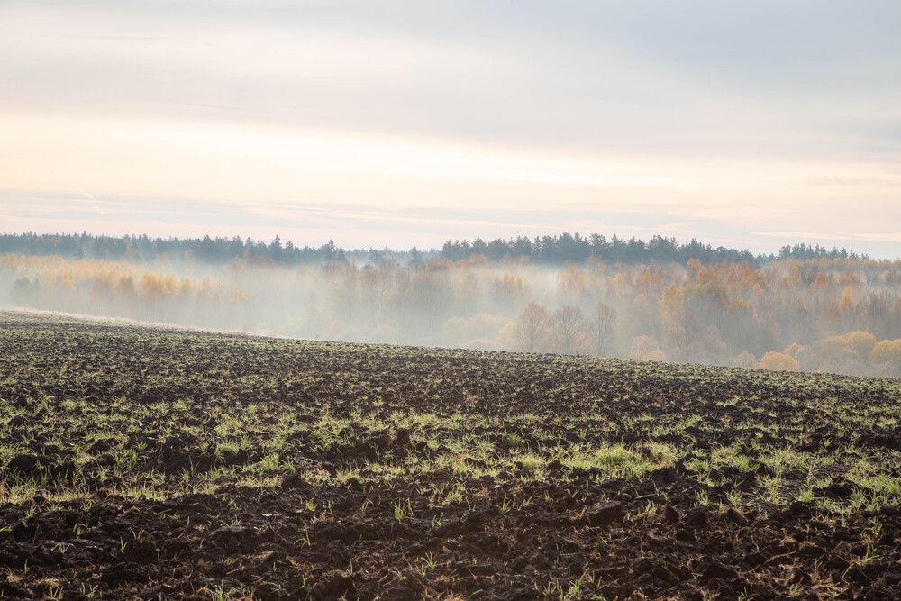 Photograph by Алексей Тихонов