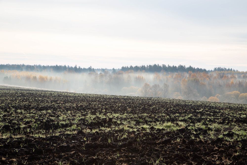 Photograph by Алексей Тихонов