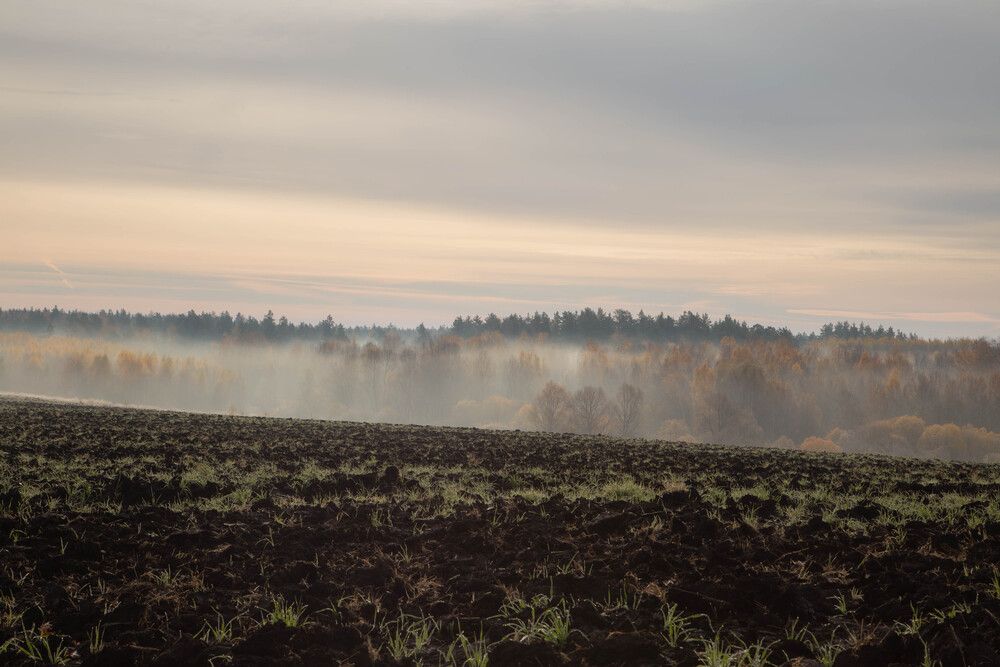 Photograph by Алексей Тихонов