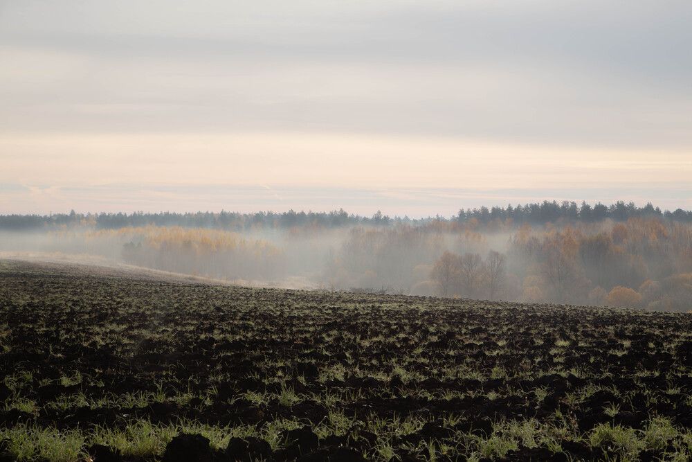 Photograph by Алексей Тихонов