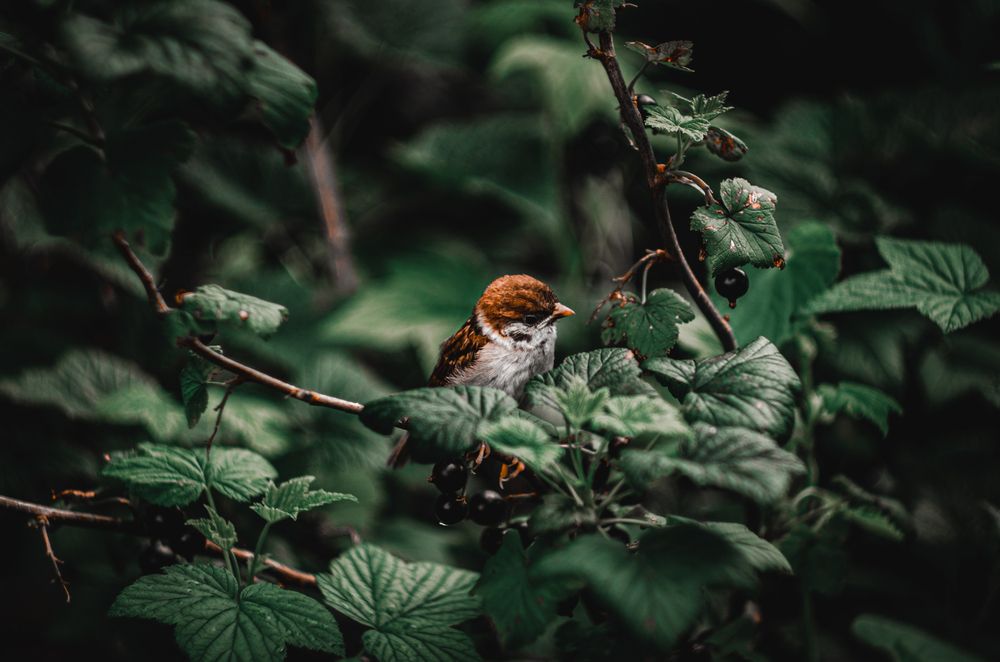 Photograph by Елизавета