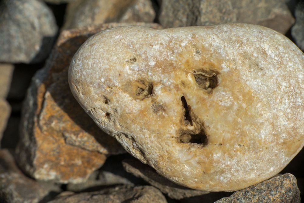 Photograph by Римма Волченко