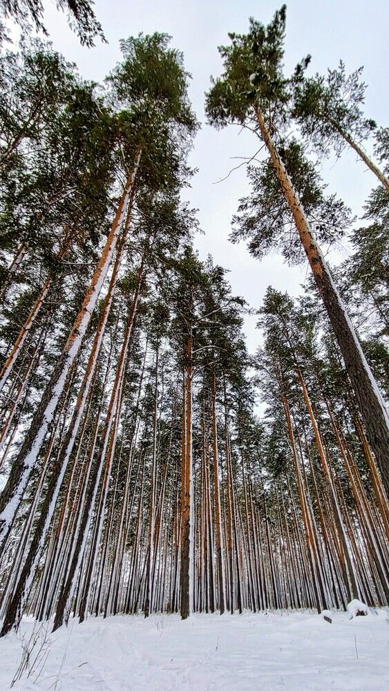 Photograph by Людмила Горячева