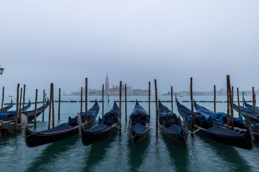 Photograph by Dinesh Umagiliya