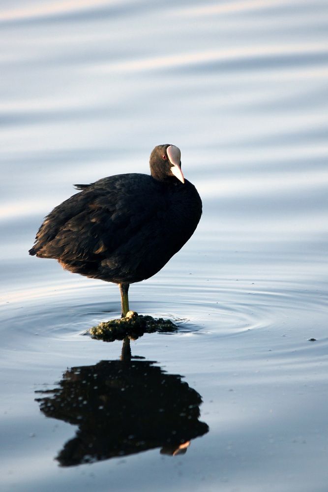 Фотография автора Татьяна Сычёва