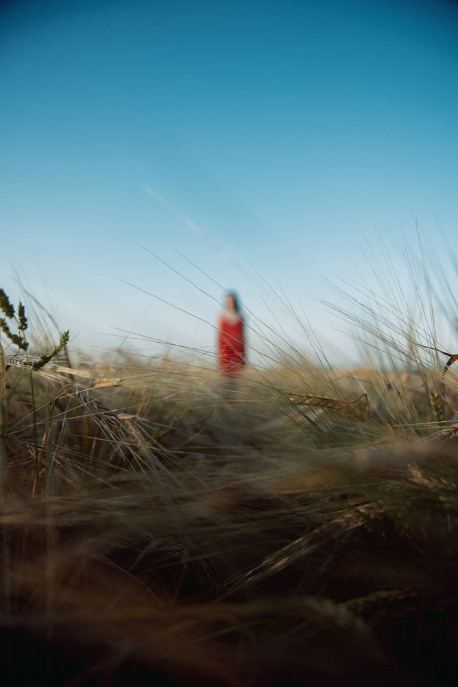 Photograph by Марина Тамбовская