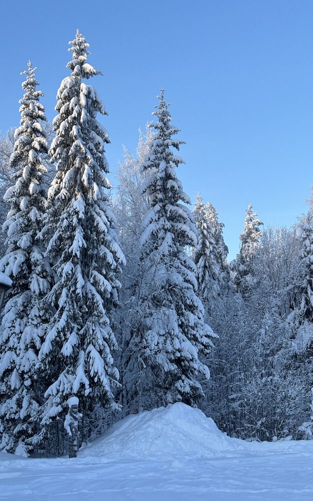 Photograph by Иван Весельников