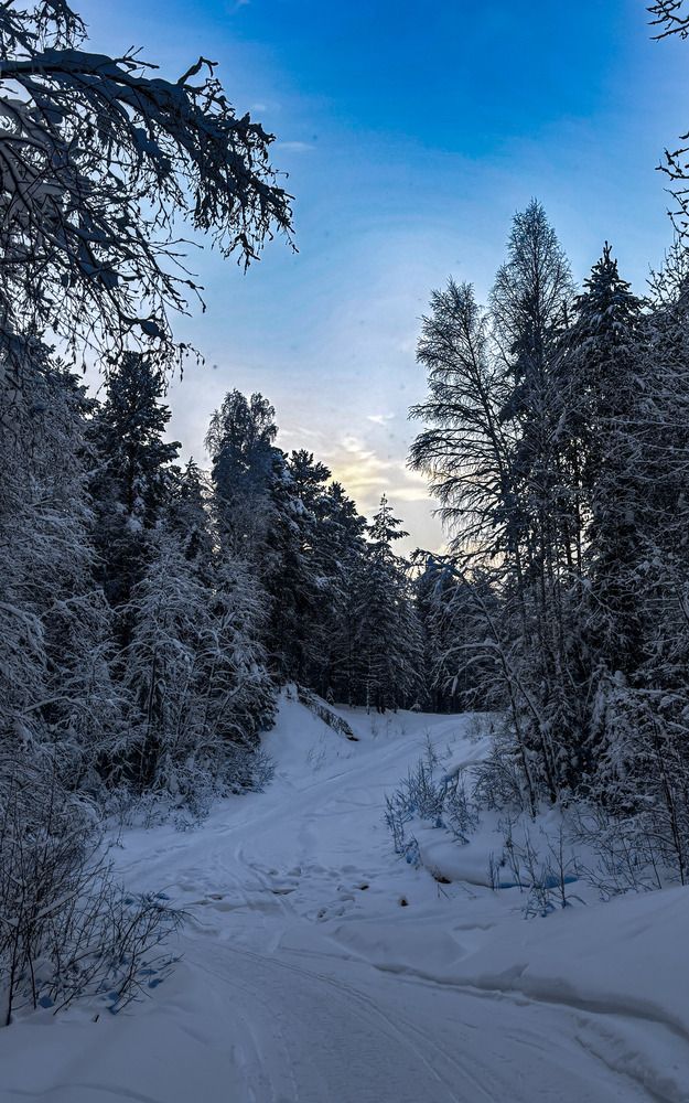 Photograph by Иван Весельников