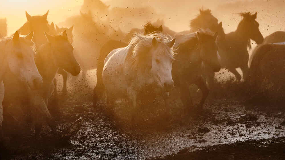 Photograph by OZHAN ARIOGLU