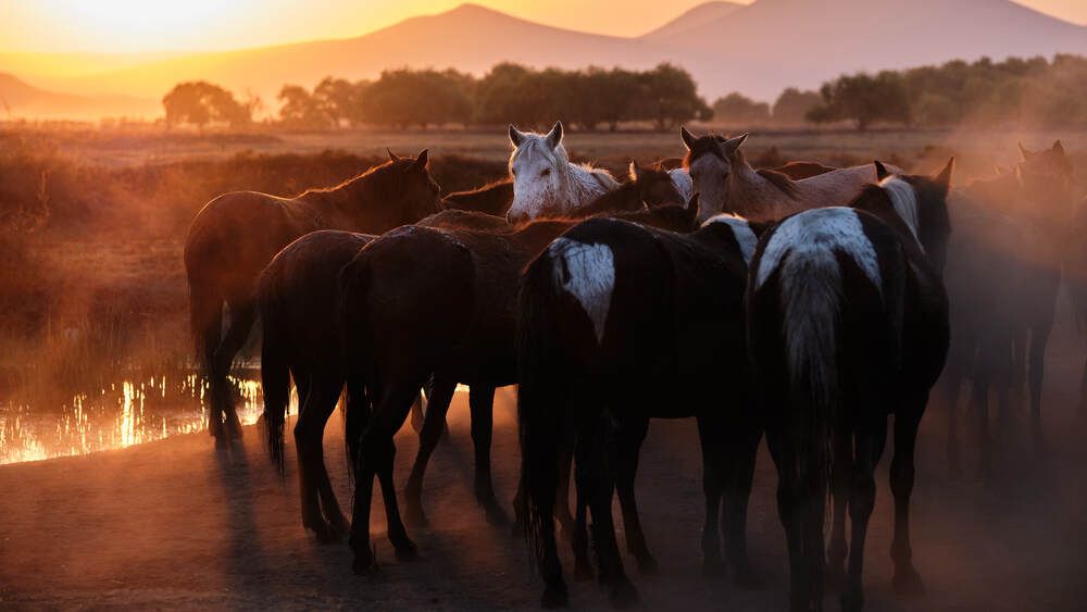 Photograph by OZHAN ARIOGLU