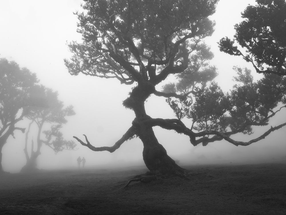 Photograph by Jan Kadlec