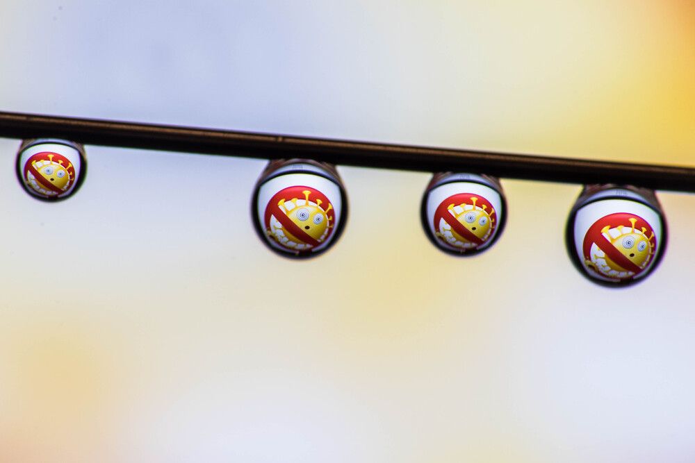 Фотография автора Shalini Jain