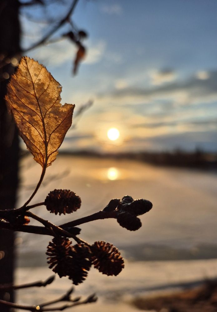 Photograph by Elena