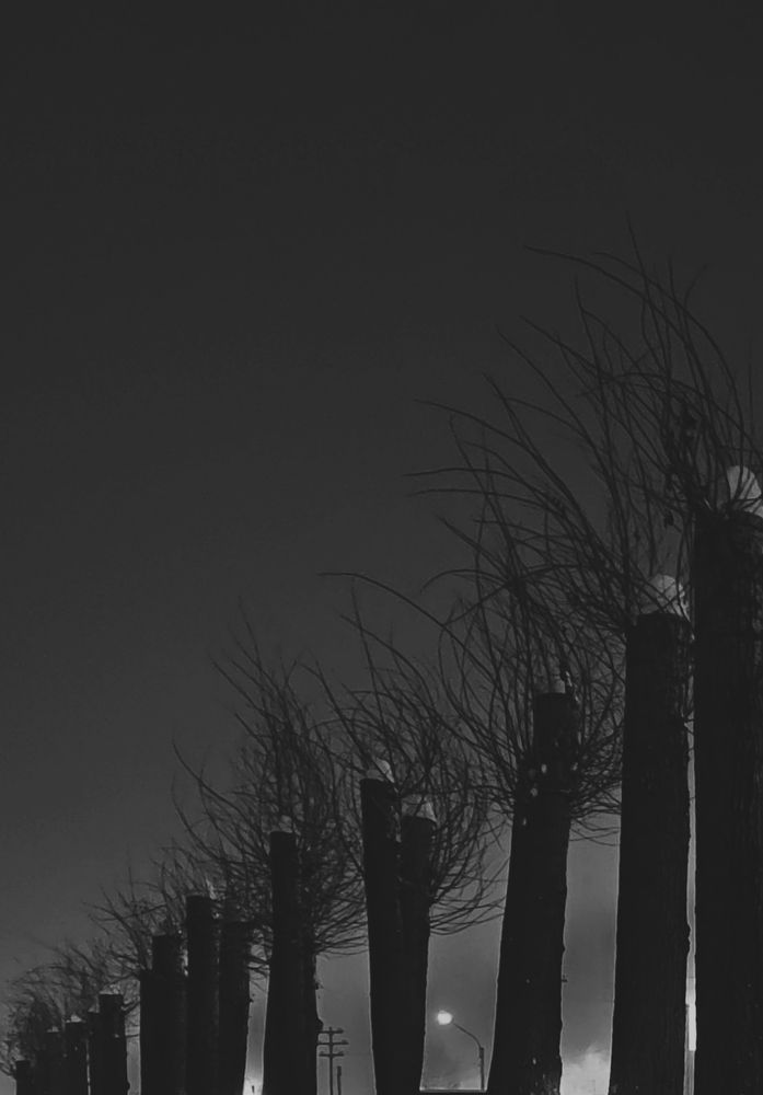 Photograph by Наталья Смирнова