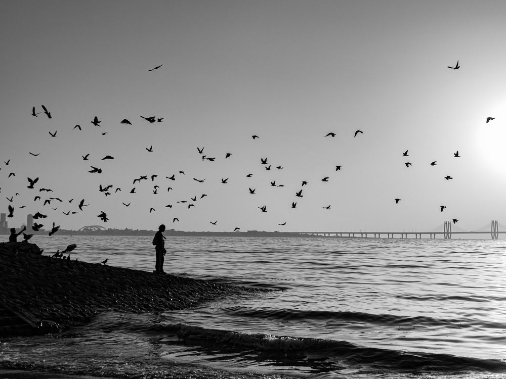 Фотография автора Kushal Lad