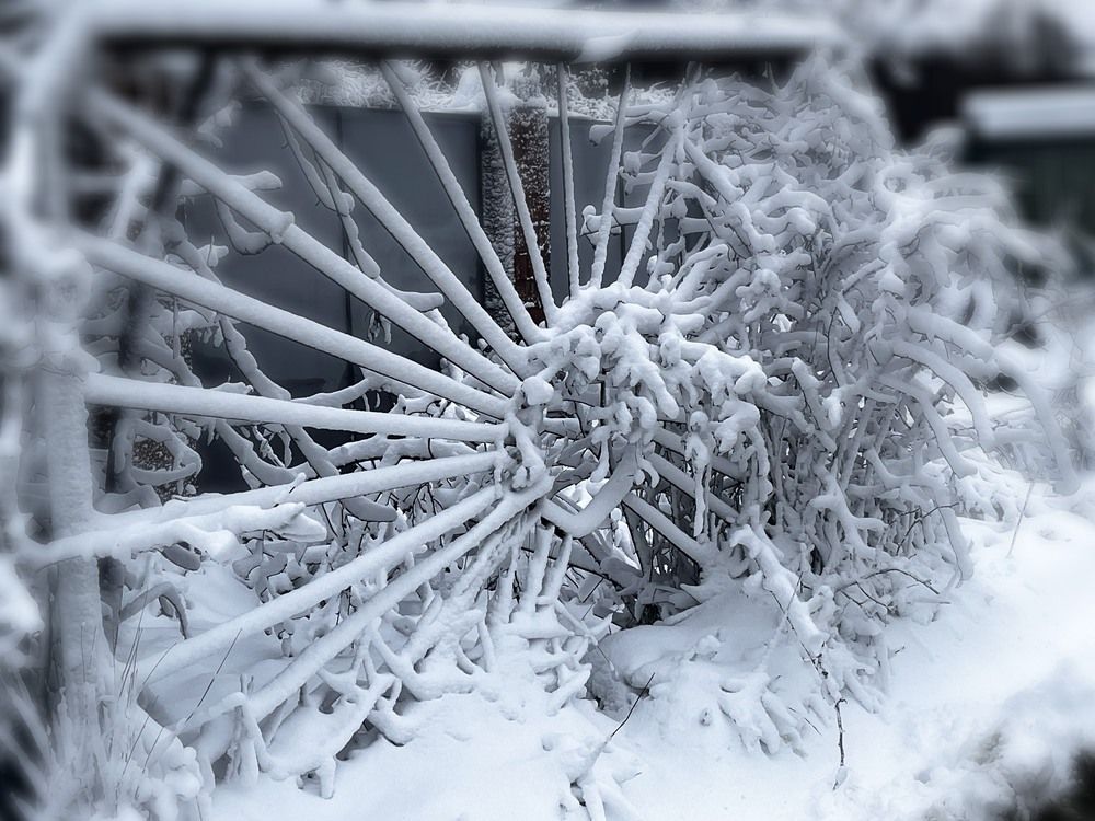 Photograph by Олеся Старицкая