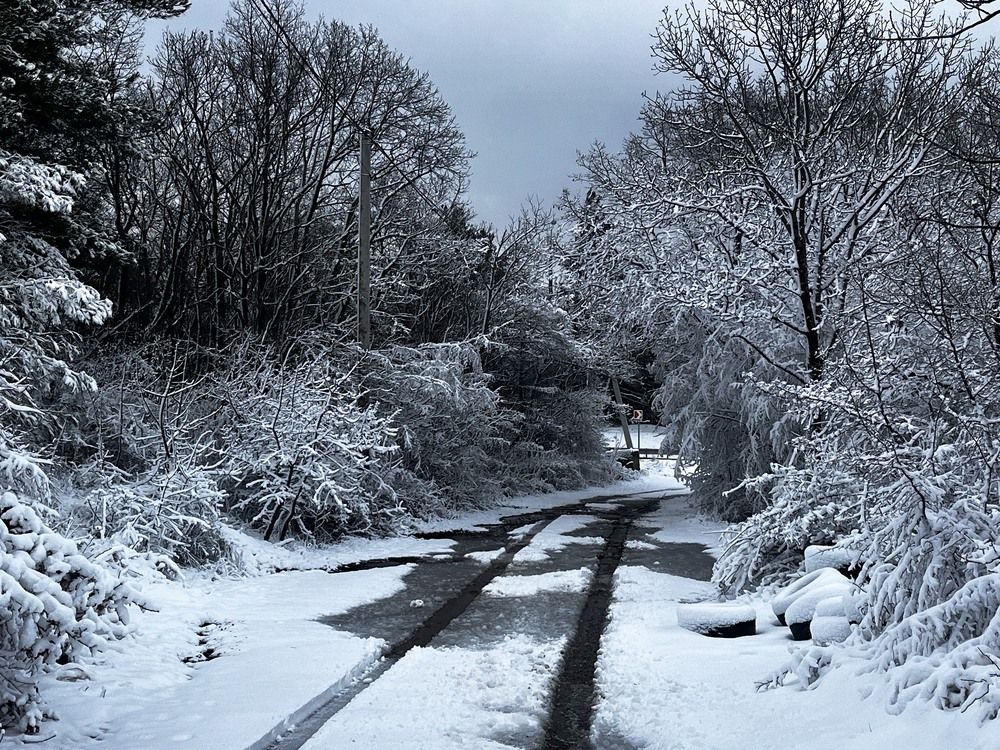 Photograph by Олеся Старицкая