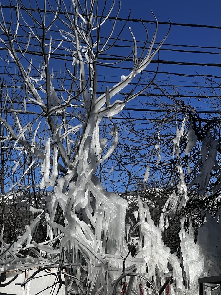 Photograph by Олеся Старицкая