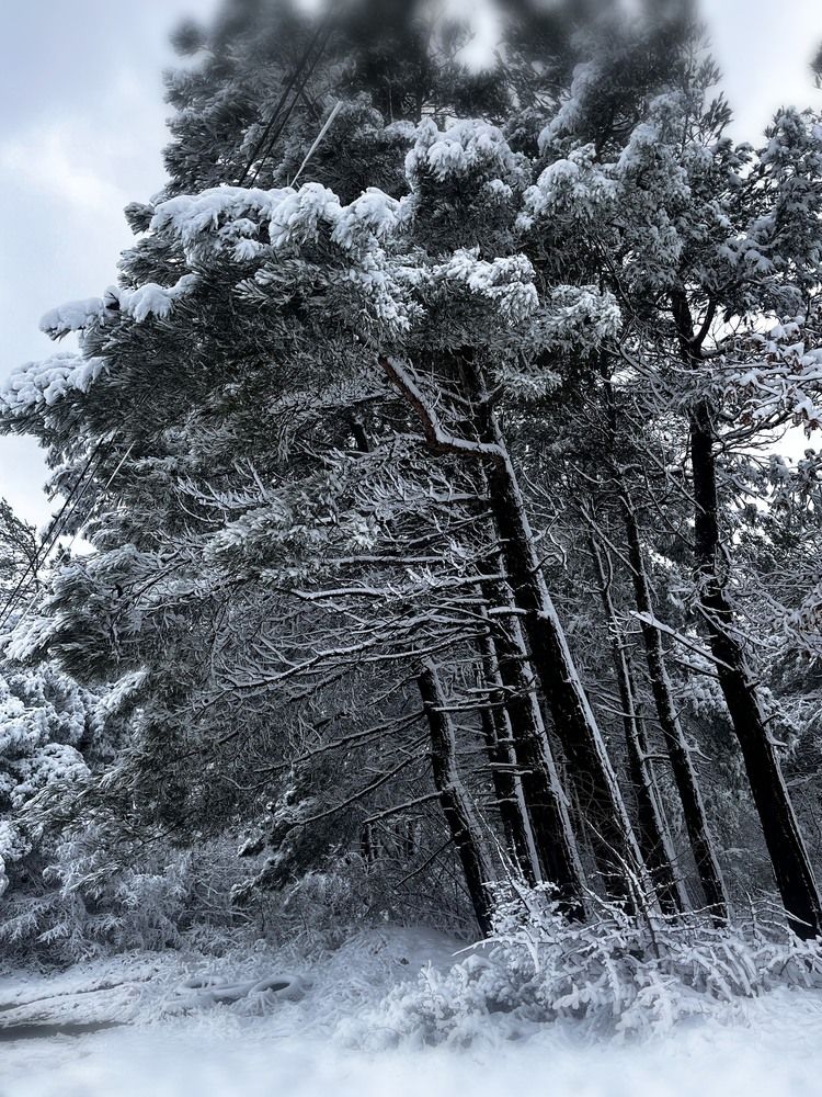 Photograph by Олеся Старицкая