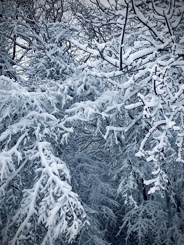 Photograph by Олеся Старицкая