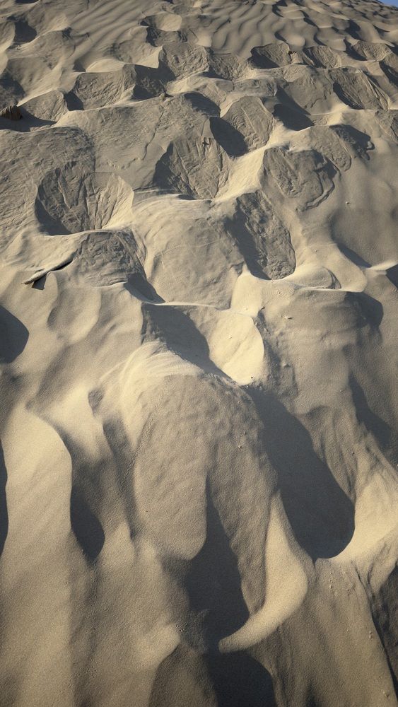 Photograph by Ekaterina Slepneva