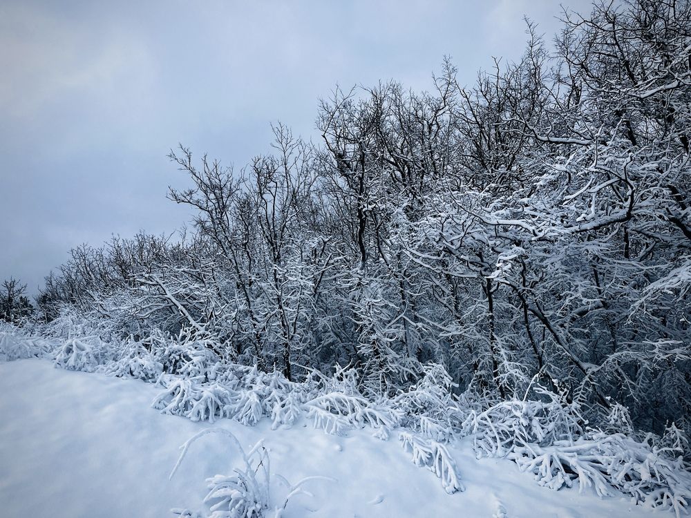 Photograph by Олеся Старицкая