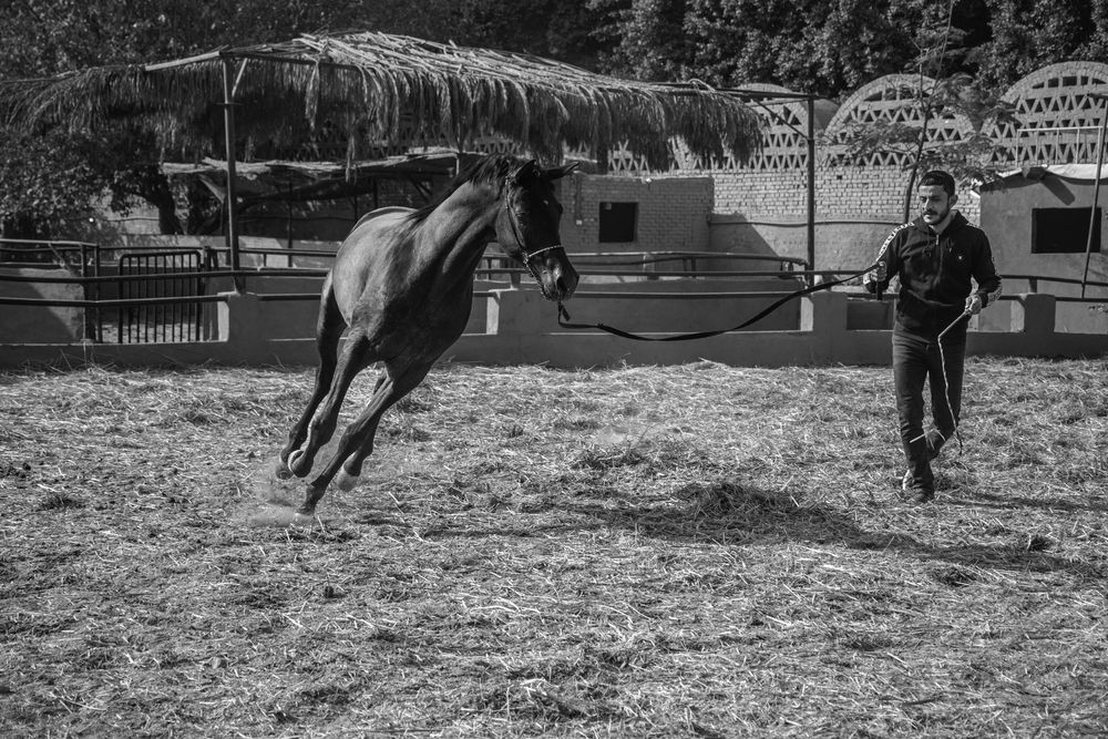 Фотография автора Muhammad Radi