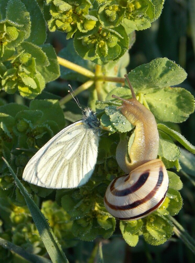 Photograph by Любовь Войводич