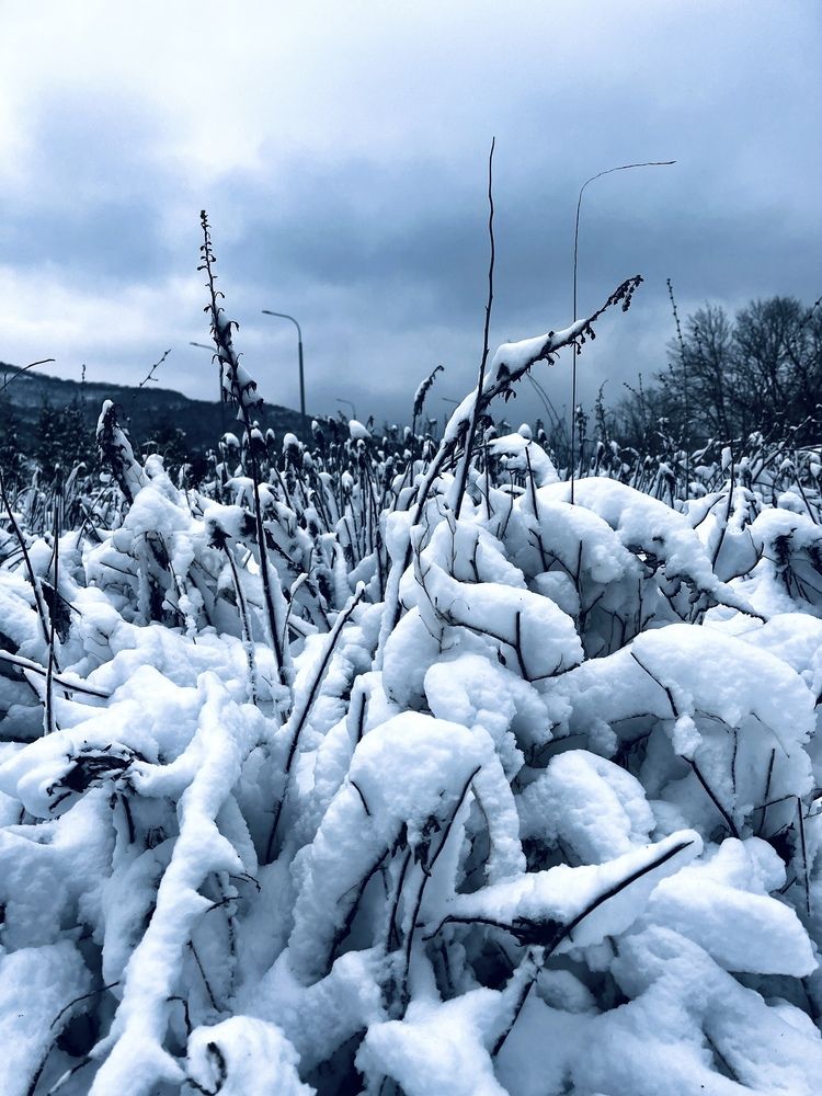 Photograph by Олеся Старицкая