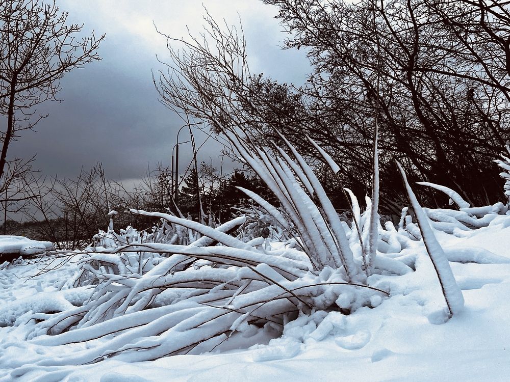 Photograph by Олеся Старицкая