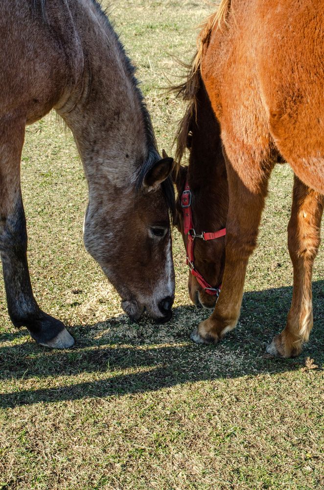 Фотография автора Мария Сидорова