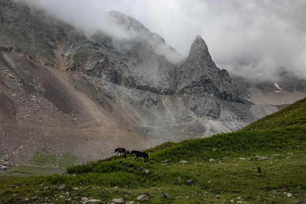 Photograph by Екатерина Ненахова