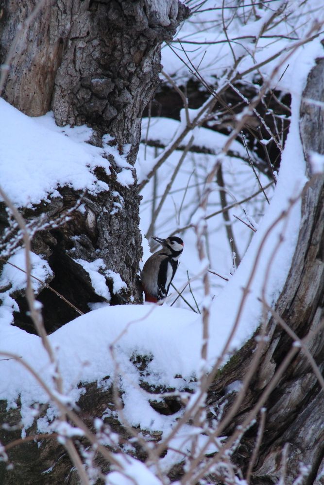 Photograph by Ульяна Митрофанова