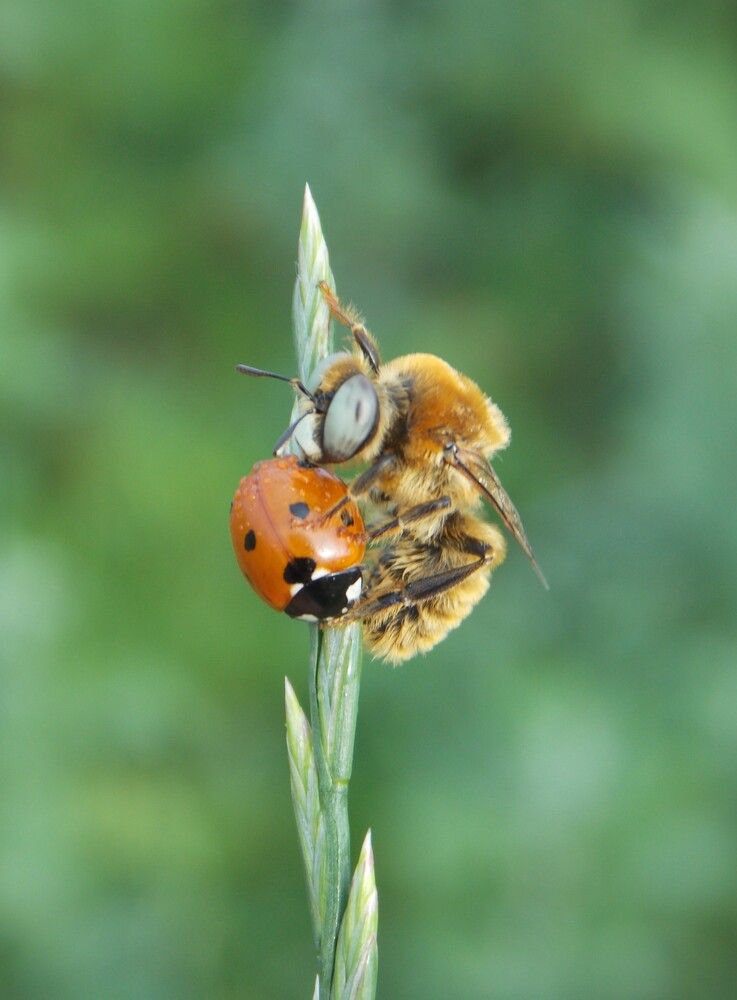 Photograph by Любовь Войводич