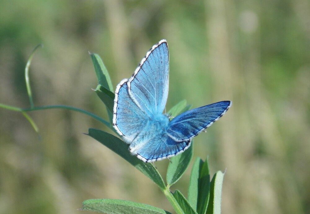 Photograph by Любовь Войводич