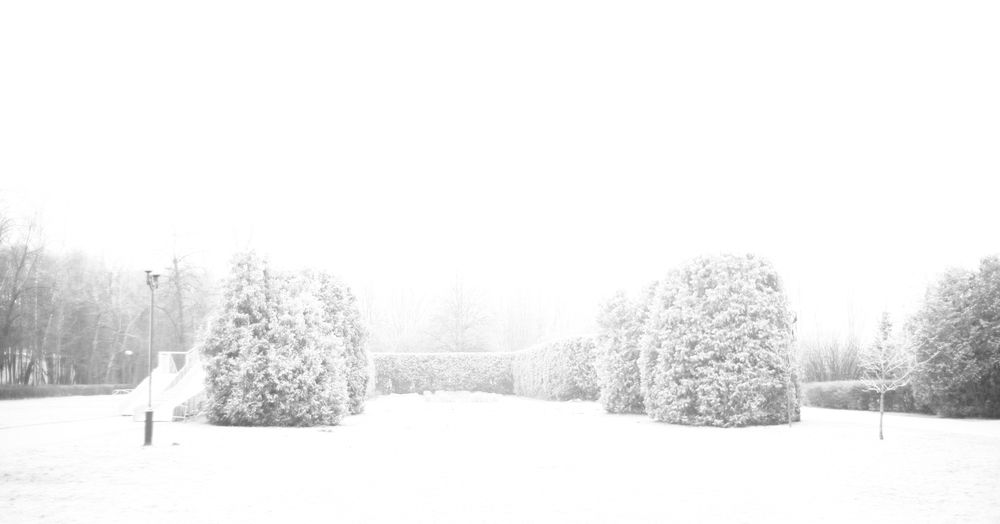 Фотография автора Николай Майоров