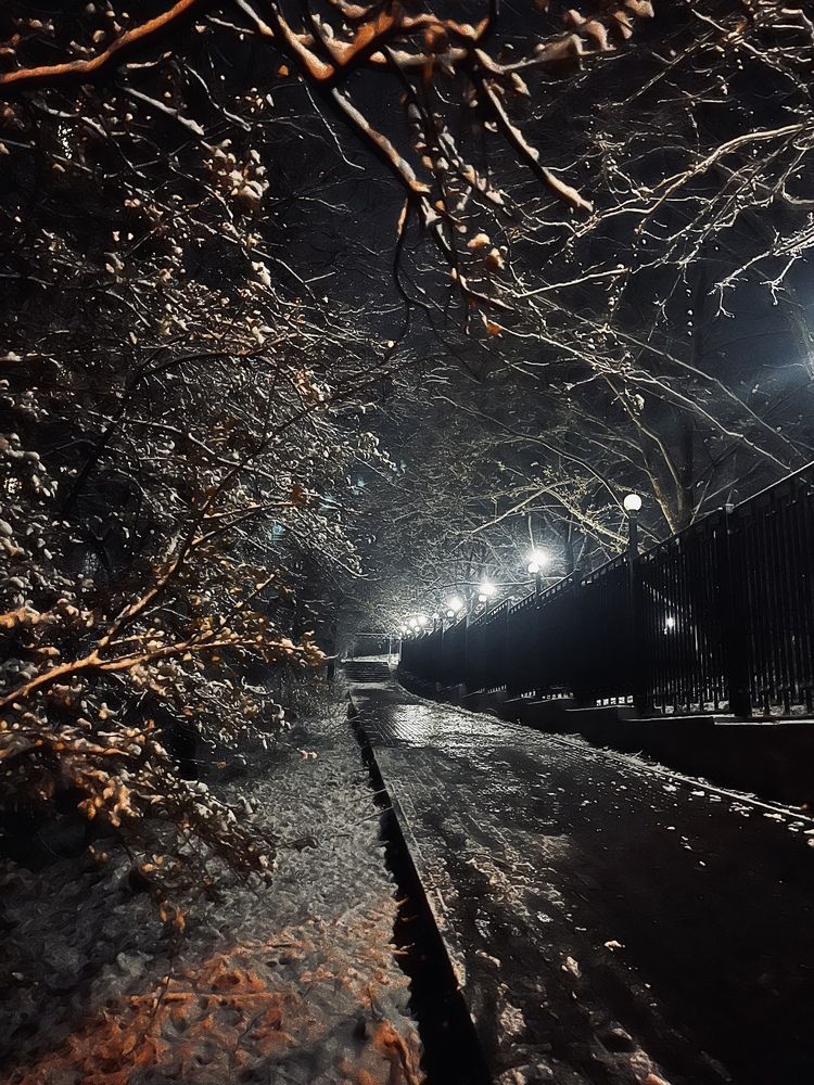 Photograph by Олеся Старицкая