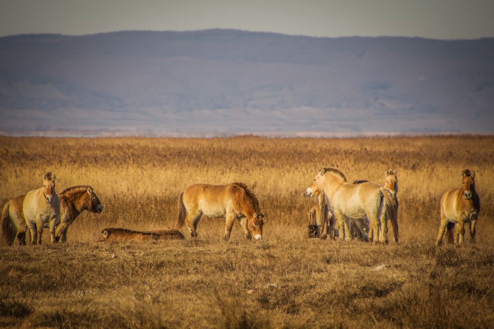 Фотография автора Eva Wiedemann