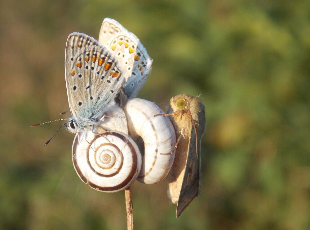 Photograph by Любовь Войводич