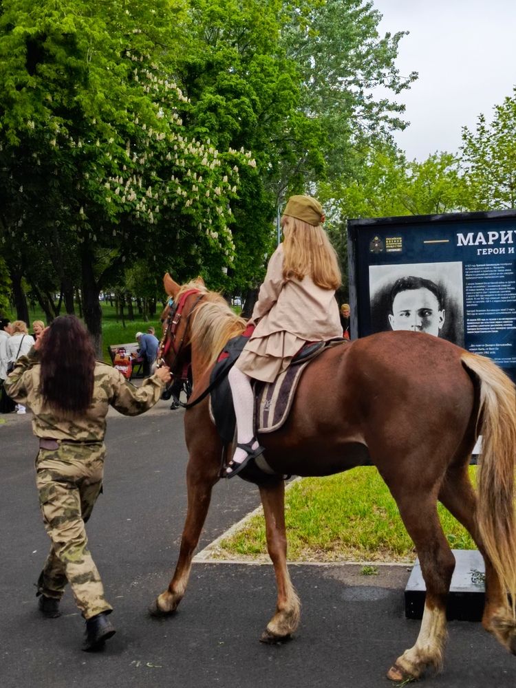 Photograph by Татьяна Пальчикова