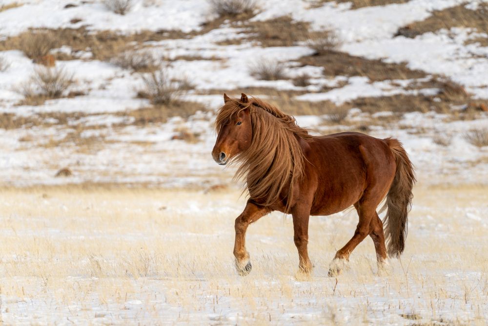 Photograph by Maria Pochikaeva