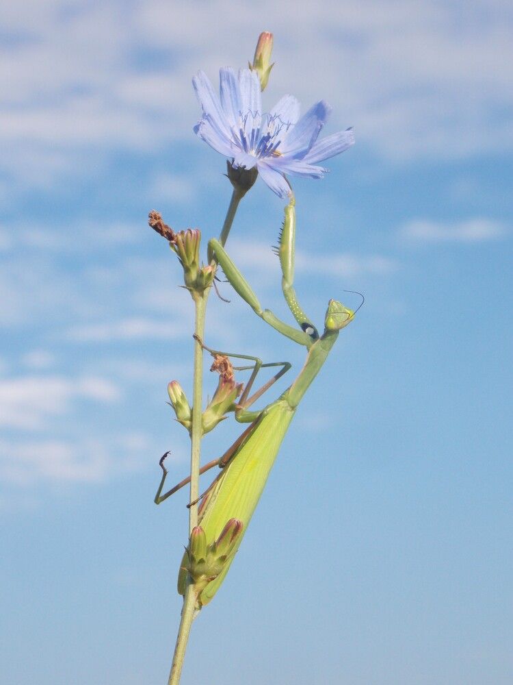 Photograph by Любовь Войводич