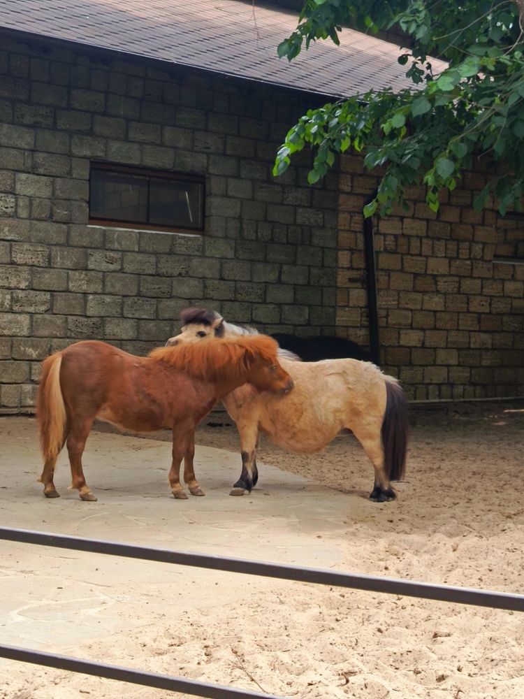 Photograph by Татьяна Пальчикова