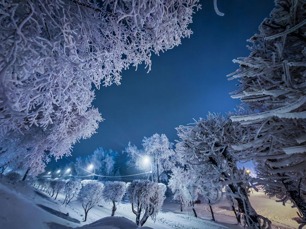 Фотография автора Мария Тюрина