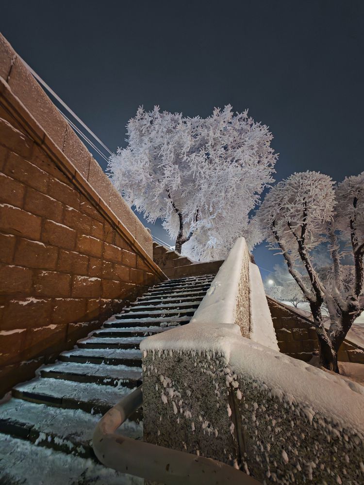 Фотография автора Мария Тюрина