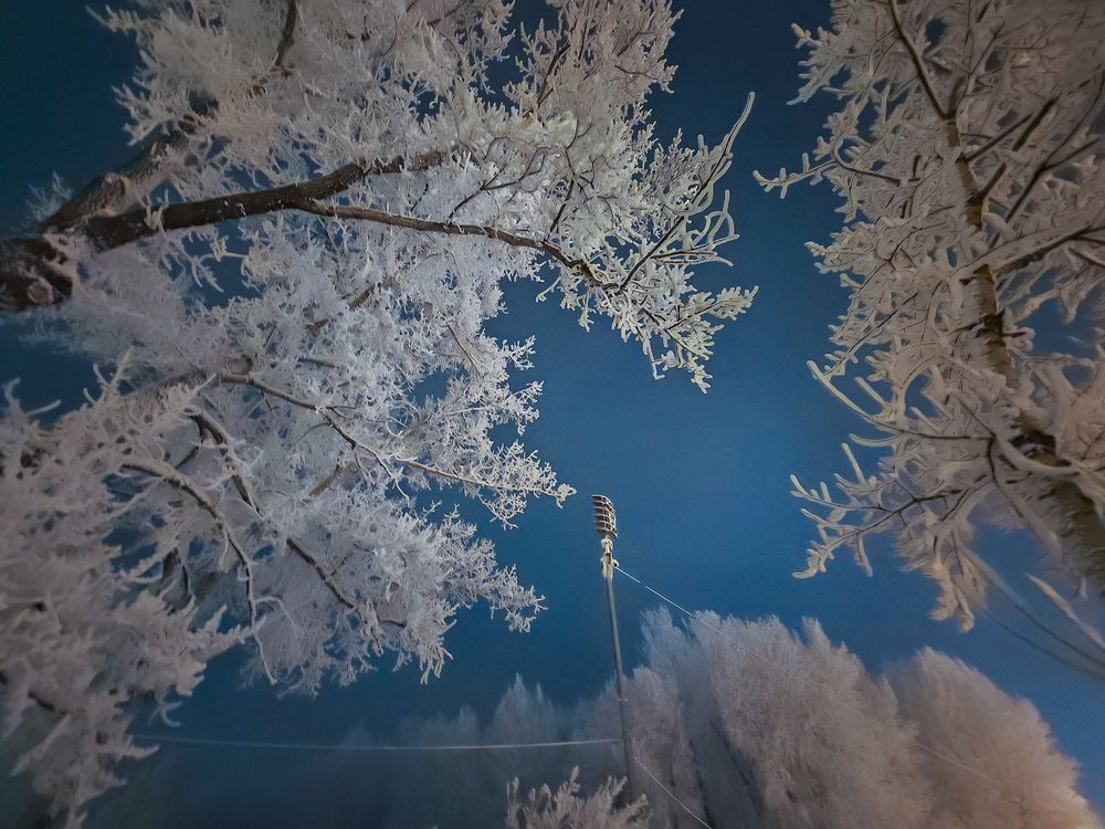 Фотография автора Мария Тюрина